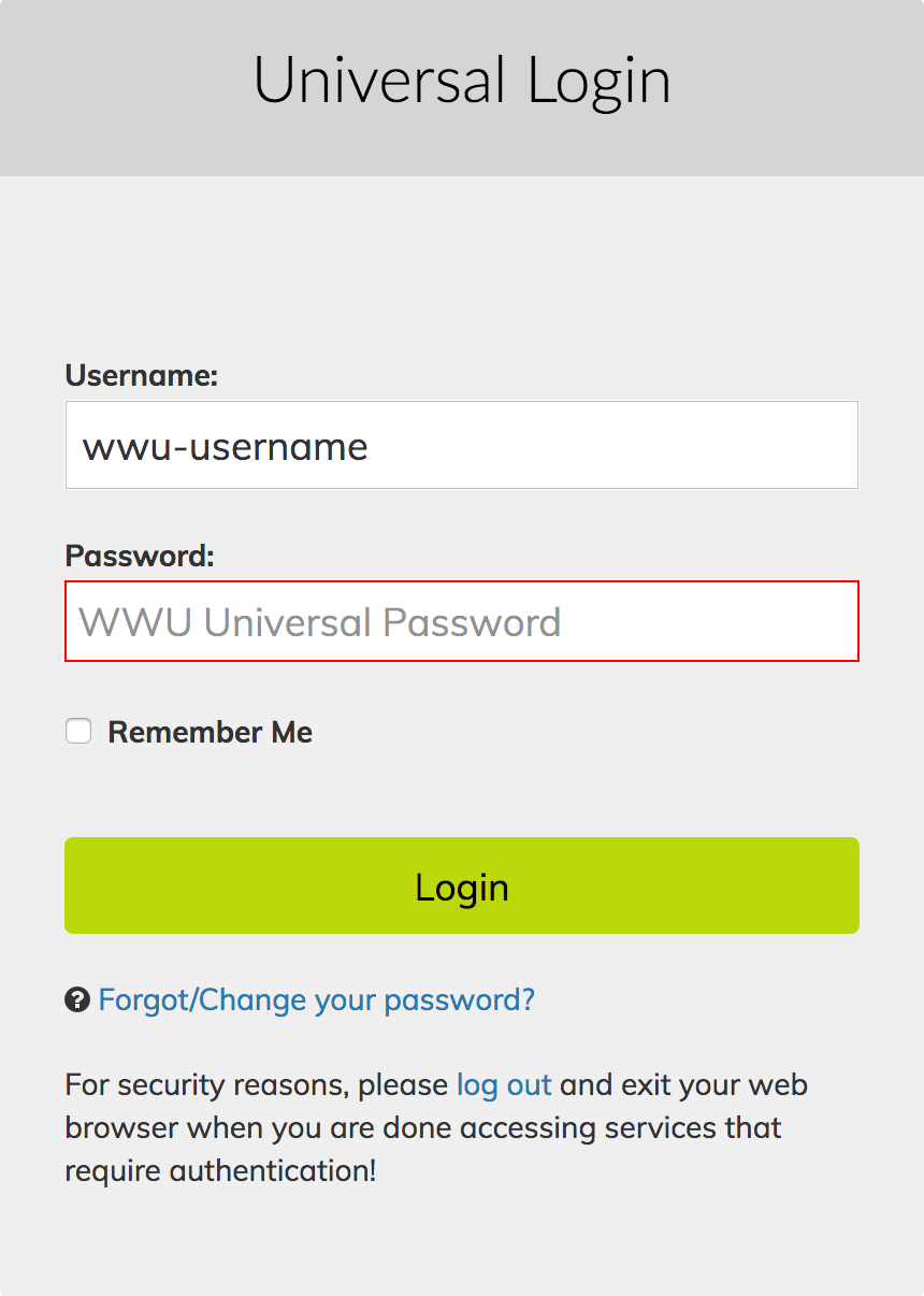 password input with red border around it showing error, screenshot.